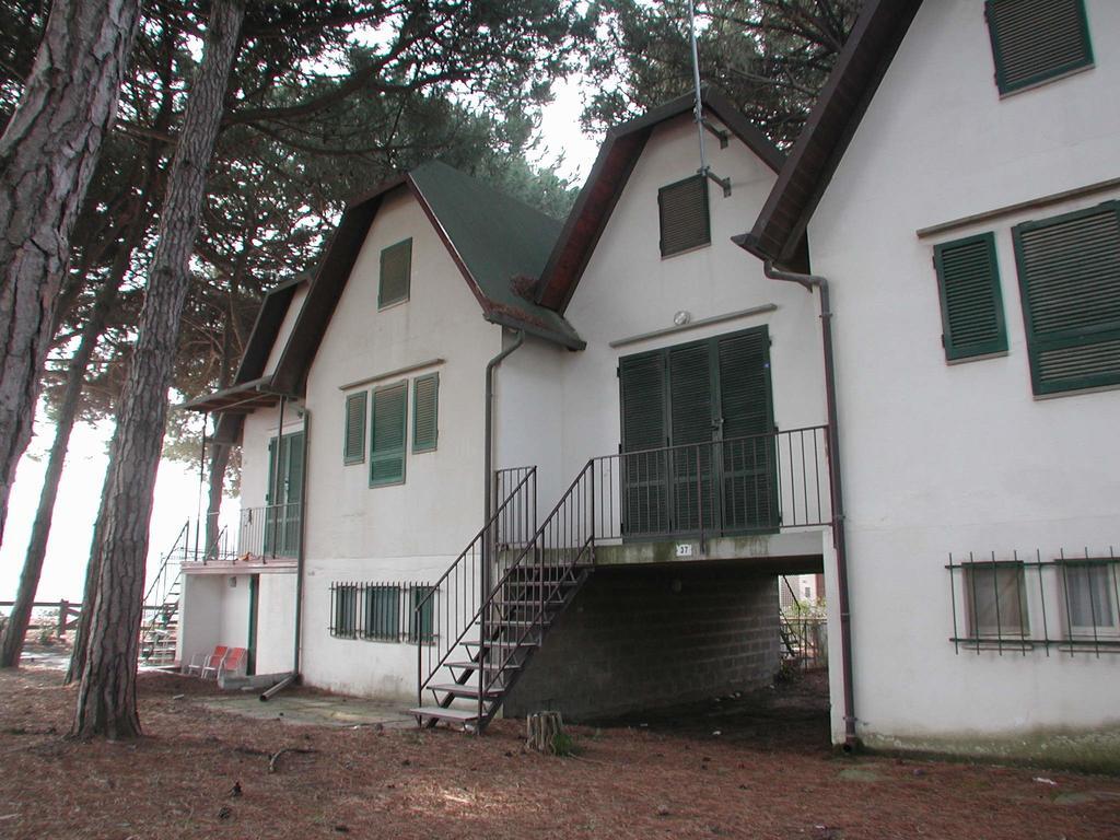 Villa 6 *